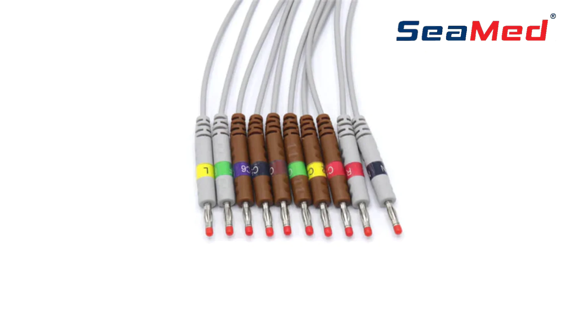 NİHON KOHDEN COMPATIBLE 10 LEAD BANANA ECG CABLE