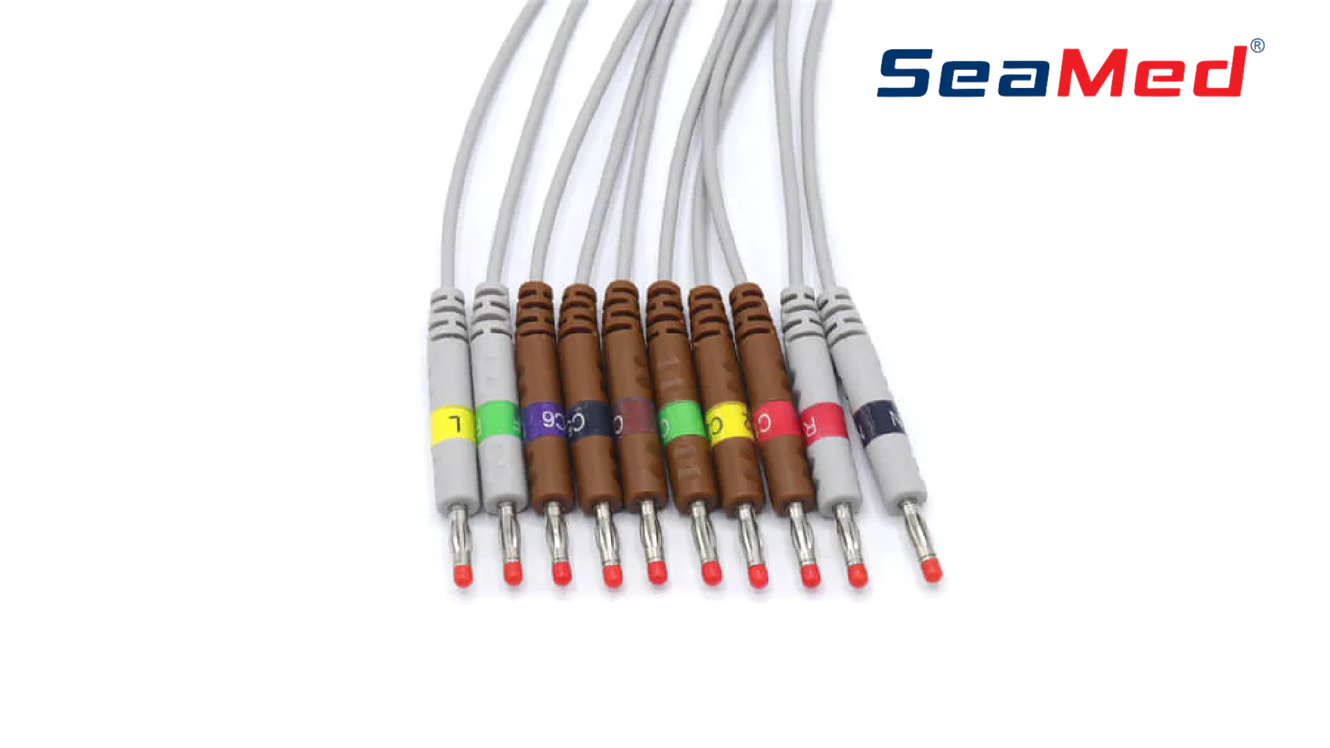 PHILIPS COMPATIBLE 10 LEAD ECG CABLE