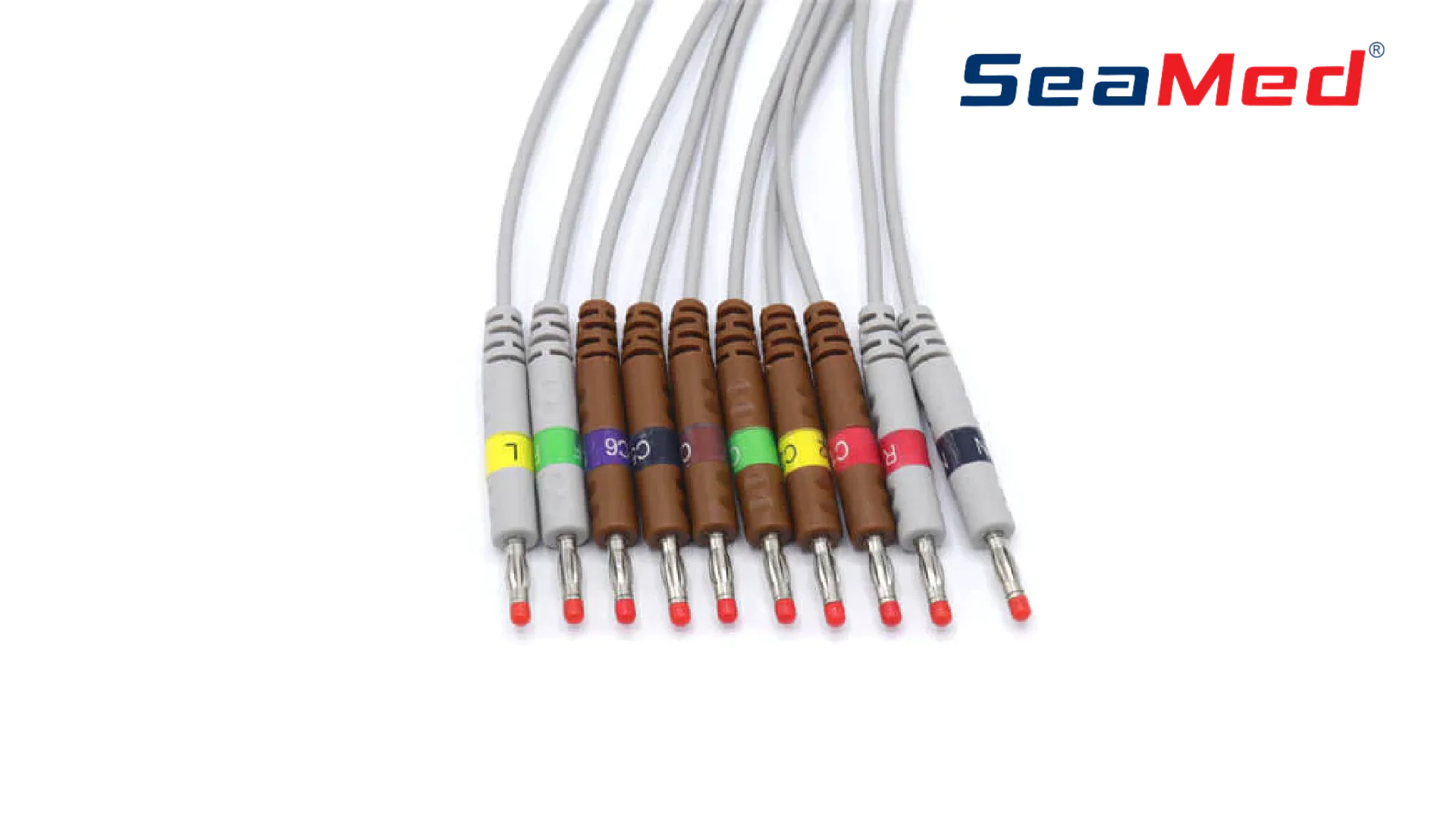 SCHILLER COMPATIBLE 10 LEAD BANANA ECG CABLE